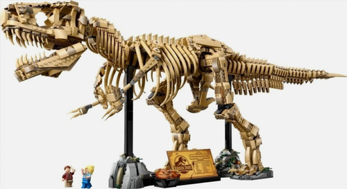 76968 dinosaur fossils - 76968,